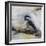 Chickadee 1-Renee Gould-Framed Giclee Print