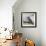 Chickadee 1-Renee Gould-Framed Giclee Print displayed on a wall