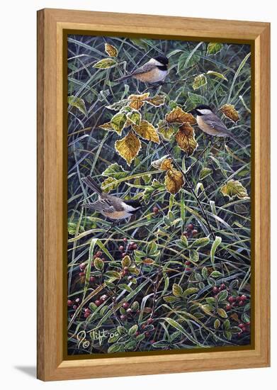 Chickadee 2-Jeff Tift-Framed Premier Image Canvas