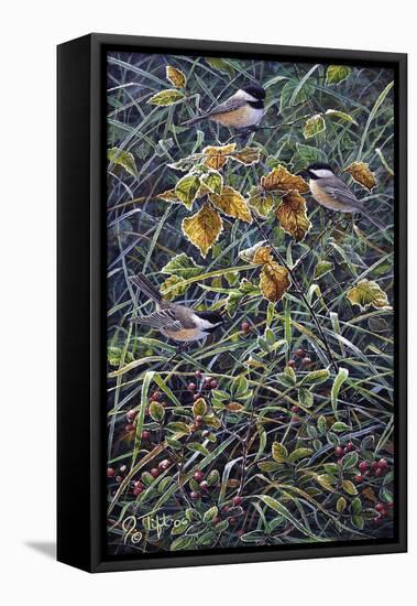 Chickadee 2-Jeff Tift-Framed Premier Image Canvas