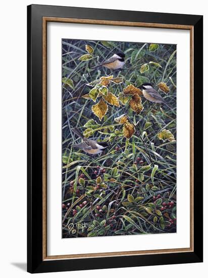 Chickadee 2-Jeff Tift-Framed Giclee Print