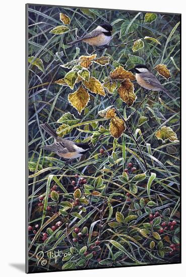 Chickadee 2-Jeff Tift-Mounted Giclee Print