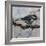 Chickadee 3-Renee Gould-Framed Giclee Print