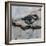 Chickadee 3-Renee Gould-Framed Giclee Print