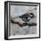 Chickadee 3-Renee Gould-Framed Giclee Print