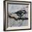 Chickadee 3-Renee Gould-Framed Giclee Print