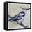 Chickadee 4-Renee Gould-Framed Premier Image Canvas