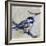 Chickadee 4-Renee Gould-Framed Giclee Print