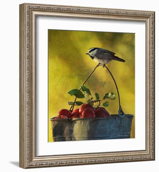 Chickadee Apples-Chris Vest-Framed Art Print