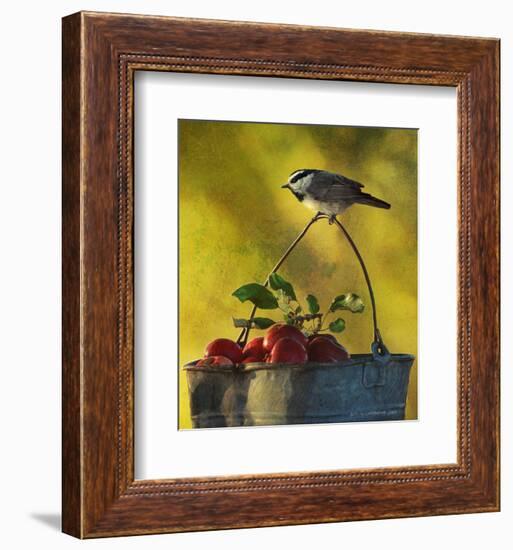 Chickadee Apples-Chris Vest-Framed Art Print