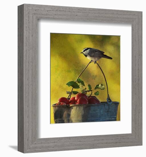 Chickadee Apples-Chris Vest-Framed Art Print