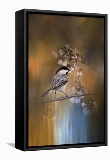 Chickadee in the Garden-Jai Johnson-Framed Premier Image Canvas