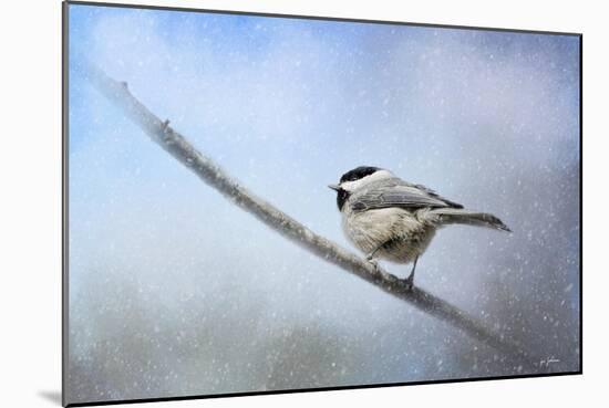 Chickadee in the Snow-Jai Johnson-Mounted Giclee Print