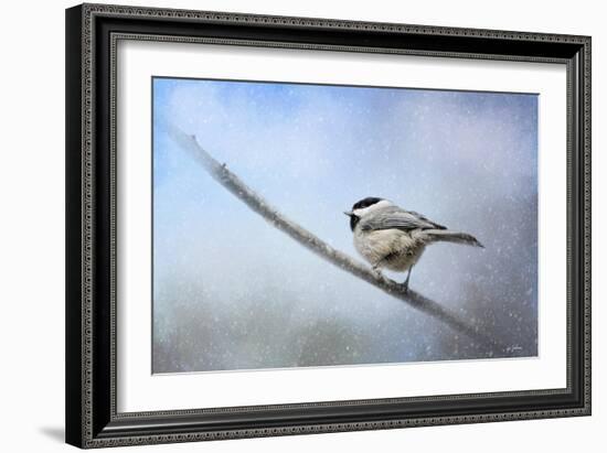 Chickadee in the Snow-Jai Johnson-Framed Giclee Print