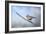 Chickadee in the Snow-Jai Johnson-Framed Giclee Print