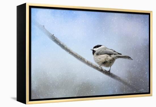 Chickadee in the Snow-Jai Johnson-Framed Premier Image Canvas