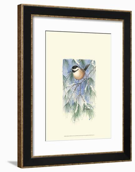 Chickadee in White Pine-Janet Mandel-Framed Art Print