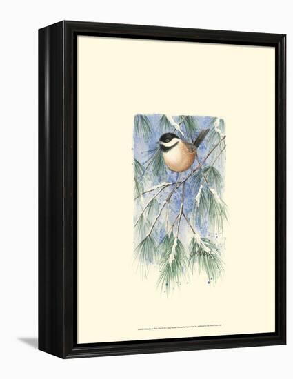 Chickadee in White Pine-Janet Mandel-Framed Stretched Canvas
