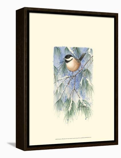 Chickadee in White Pine-Janet Mandel-Framed Stretched Canvas