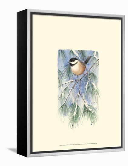 Chickadee in White Pine-Janet Mandel-Framed Stretched Canvas