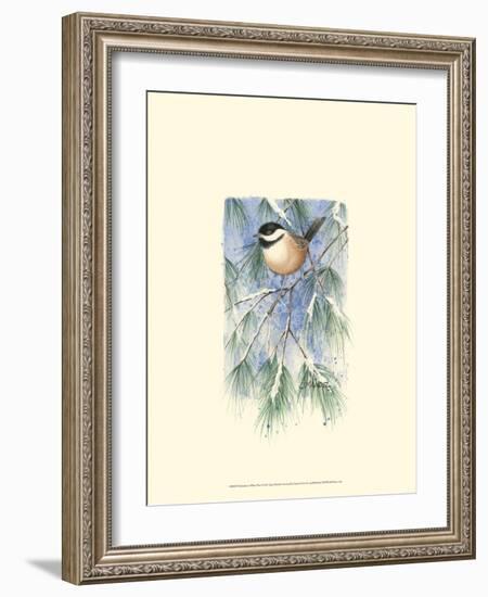 Chickadee in White Pine-Janet Mandel-Framed Art Print