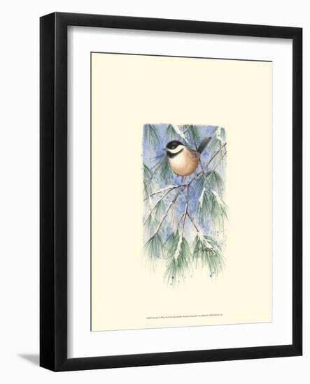 Chickadee in White Pine-Janet Mandel-Framed Art Print