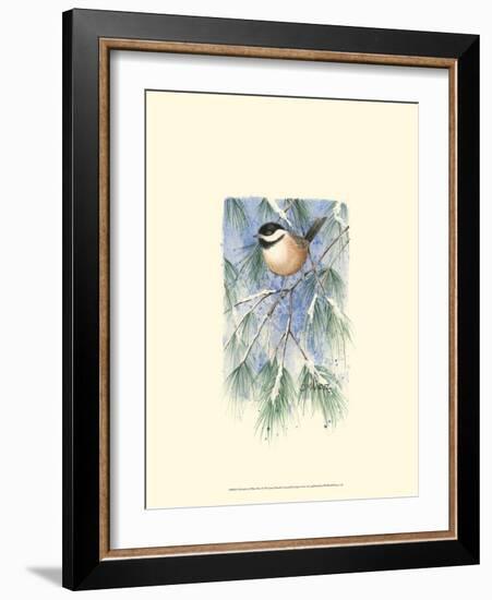 Chickadee in White Pine-Janet Mandel-Framed Art Print