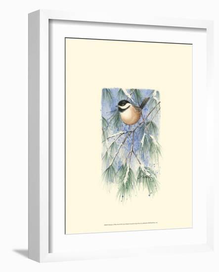 Chickadee in White Pine-Janet Mandel-Framed Art Print