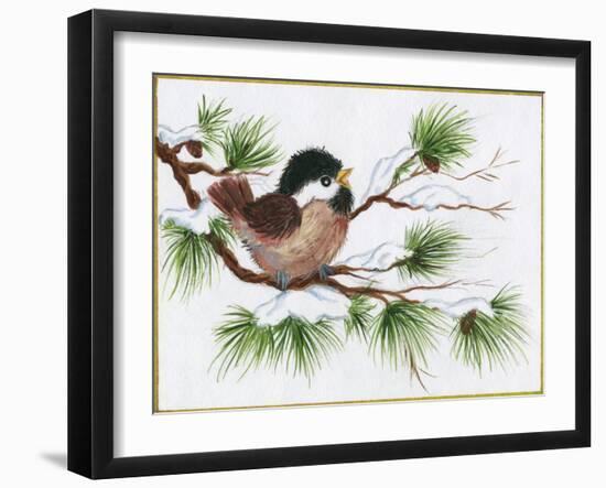 Chickadee on a Pine Tree-Beverly Johnston-Framed Giclee Print