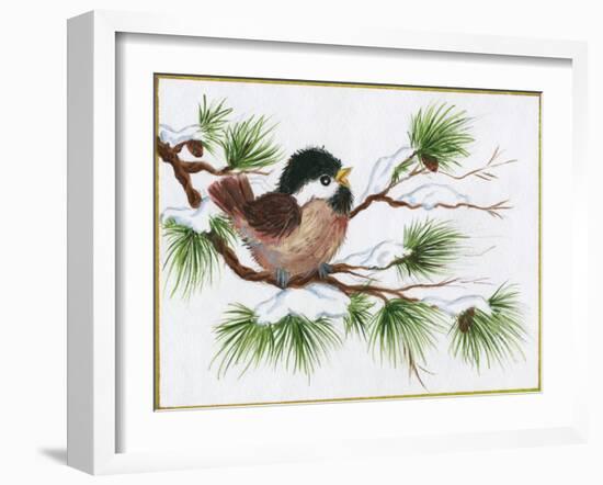 Chickadee on a Pine Tree-Beverly Johnston-Framed Giclee Print