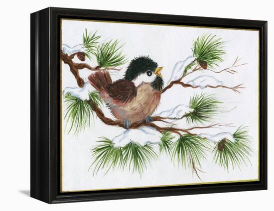 Chickadee on a Pine Tree-Beverly Johnston-Framed Premier Image Canvas