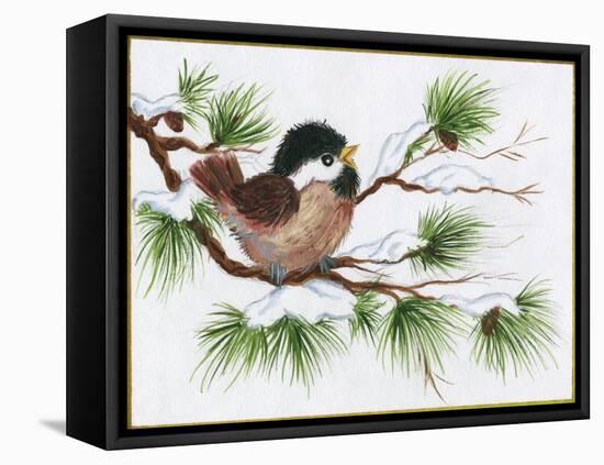 Chickadee on a Pine Tree-Beverly Johnston-Framed Premier Image Canvas