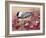 Chickadee with Berries-William Vanderdasson-Framed Giclee Print