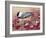 Chickadee with Berries-William Vanderdasson-Framed Giclee Print