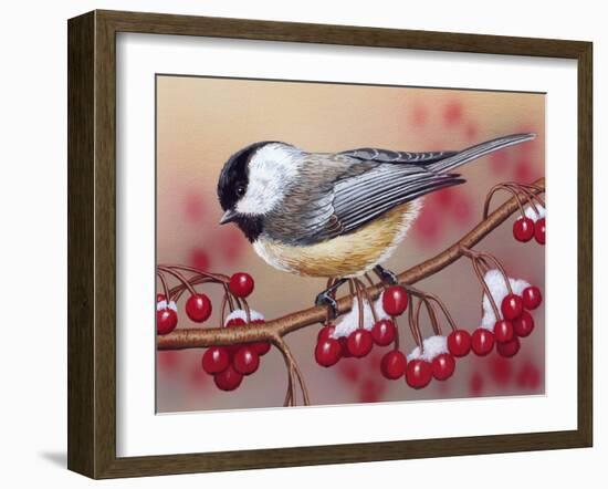 Chickadee with Berries-William Vanderdasson-Framed Giclee Print