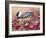 Chickadee with Berries-William Vanderdasson-Framed Giclee Print