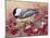 Chickadee with Berries-William Vanderdasson-Mounted Giclee Print