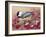 Chickadee with Berries-William Vanderdasson-Framed Giclee Print