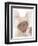 Chickadee-Betsy Cameron-Framed Art Print