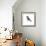 CHICKADEE-BRUCE DEAN-Framed Art Print displayed on a wall