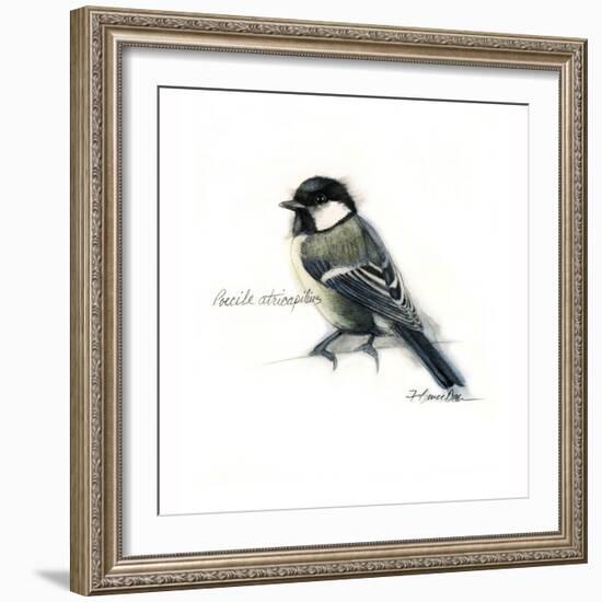 CHICKADEE-BRUCE DEAN-Framed Art Print