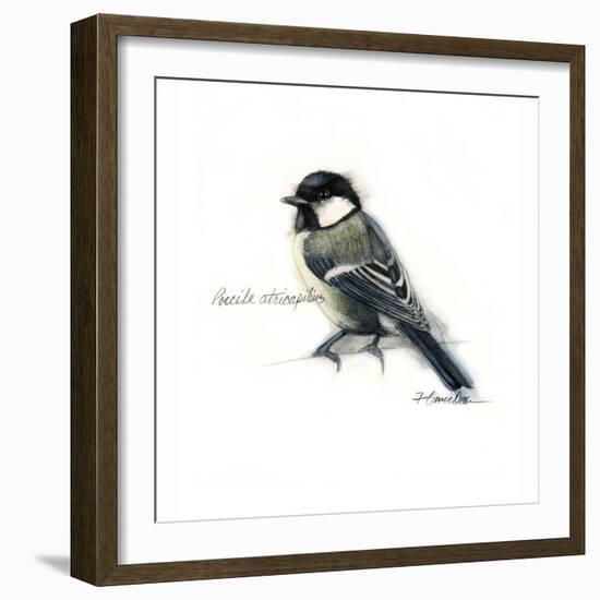 CHICKADEE-BRUCE DEAN-Framed Art Print