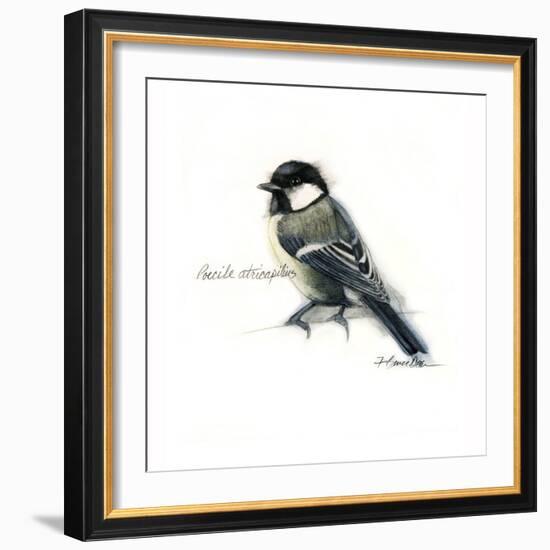 CHICKADEE-BRUCE DEAN-Framed Art Print