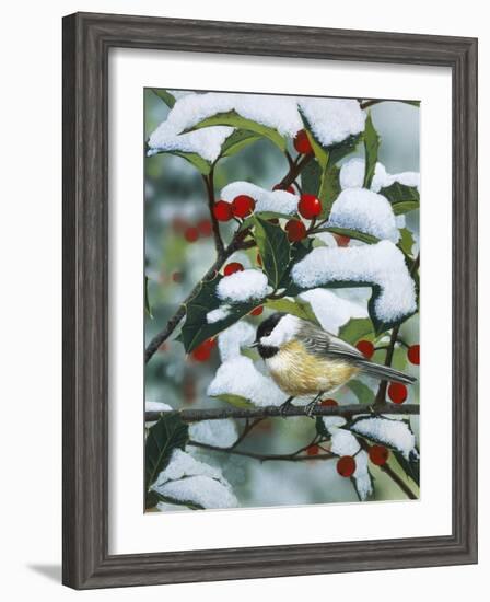 Chickadees and Holly Branch-William Vanderdasson-Framed Giclee Print