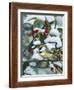 Chickadees and Holly Branch-William Vanderdasson-Framed Giclee Print