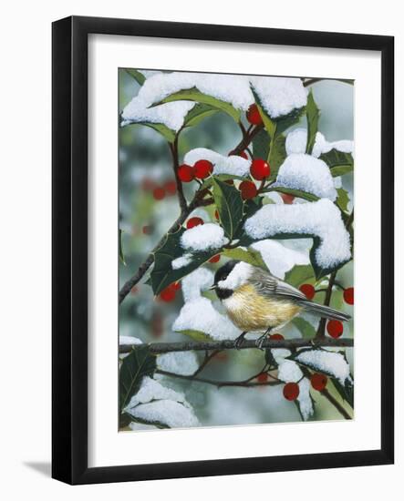 Chickadees and Holly Branch-William Vanderdasson-Framed Giclee Print