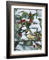 Chickadees and Holly Branch-William Vanderdasson-Framed Giclee Print