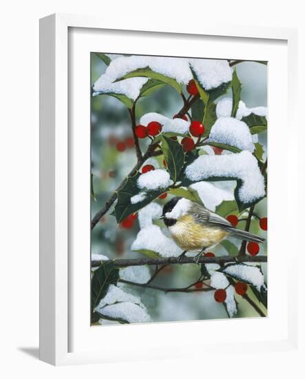 Chickadees and Holly Branch-William Vanderdasson-Framed Giclee Print