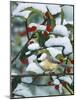 Chickadees and Holly Branch-William Vanderdasson-Mounted Giclee Print