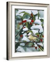 Chickadees and Holly Branch-William Vanderdasson-Framed Giclee Print